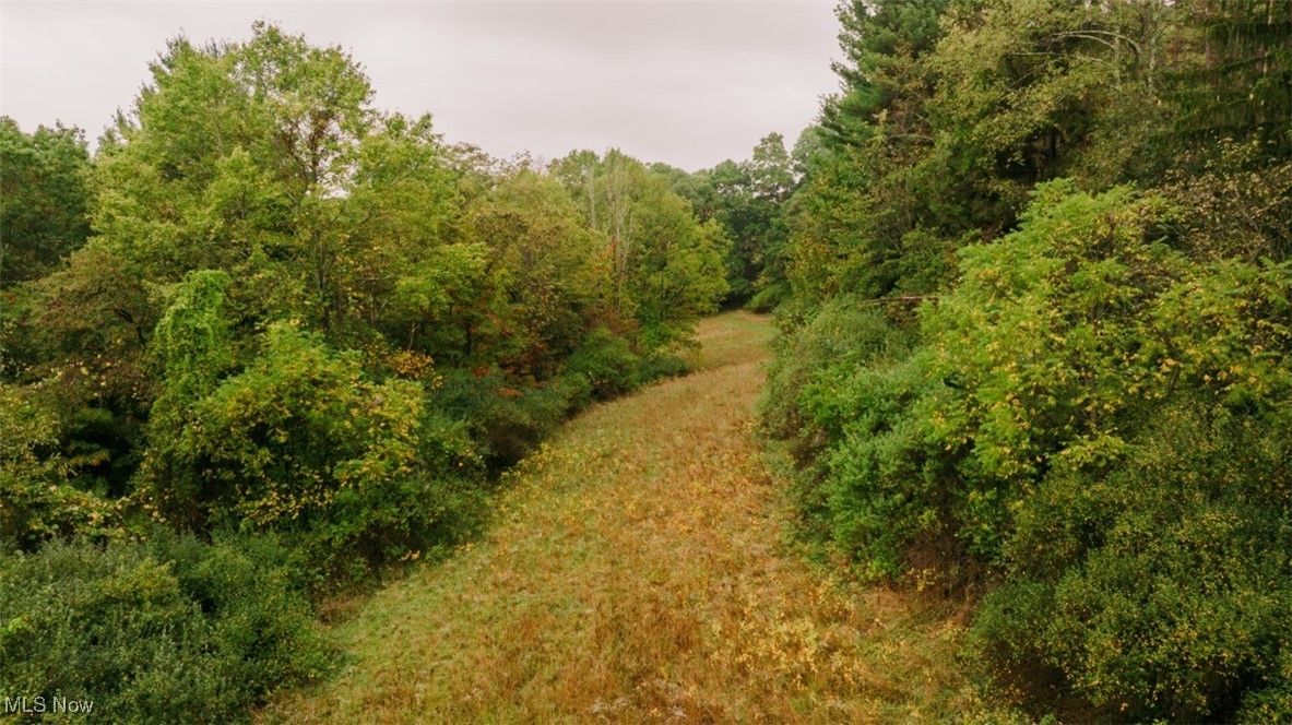 2354 Ivory Road Northwest Dellroy, OH 44620 - Photo 18 of 41 View of local wilderness