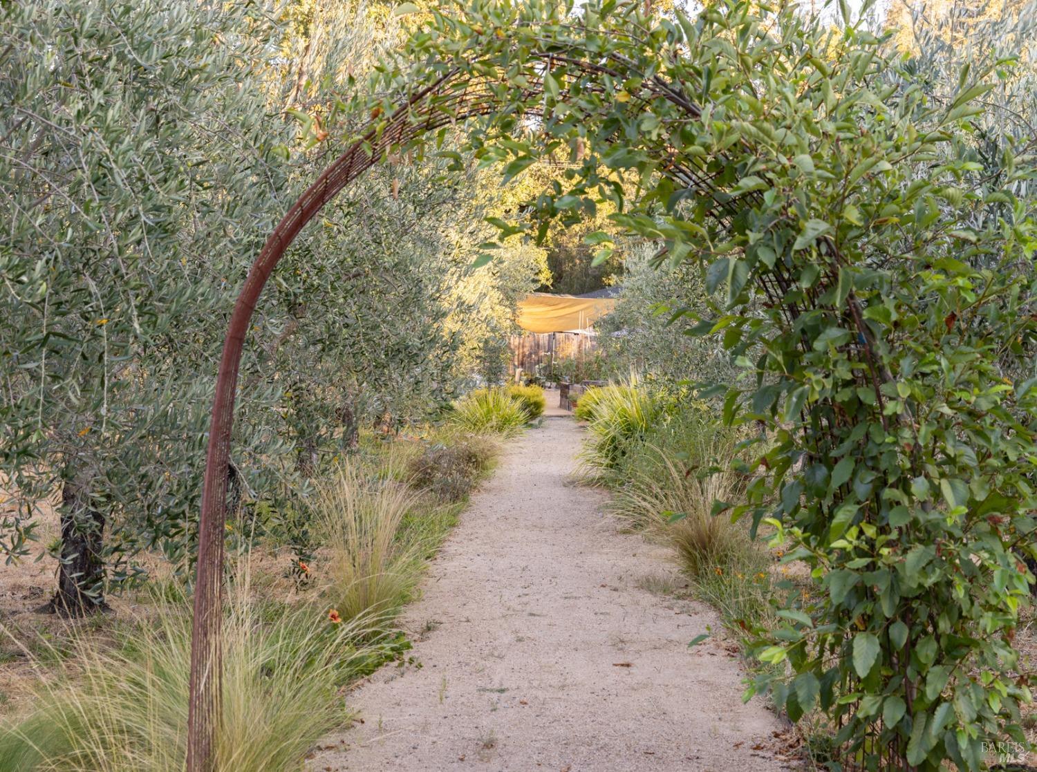 601 Rossi Road St. Helena, CA 94574 - Photo 28 of 48