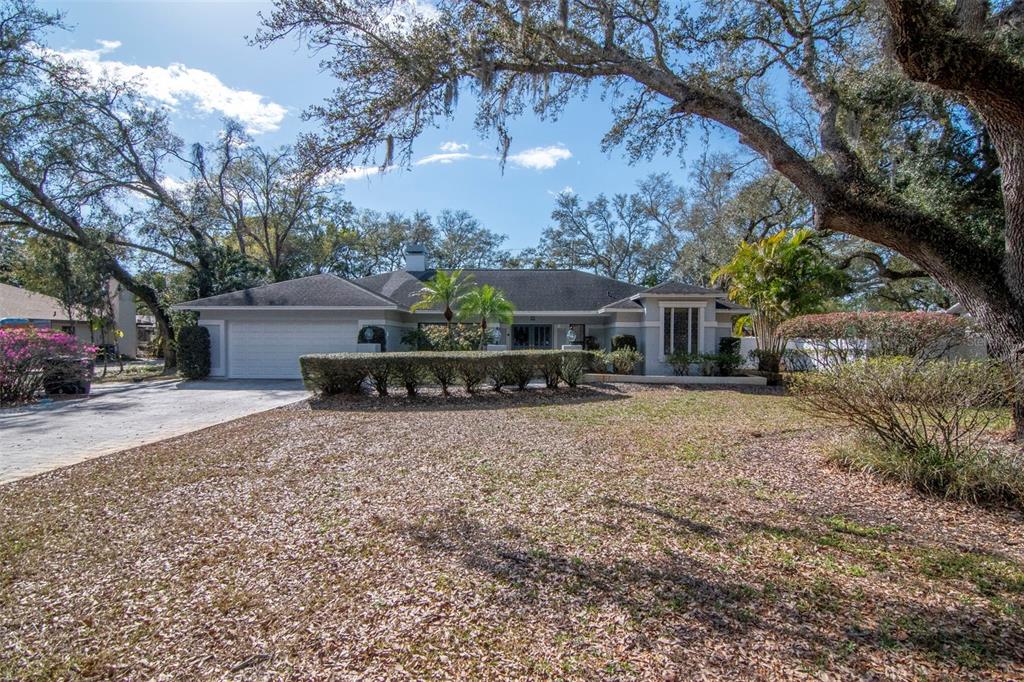8440 Crane's Roost Drive New Port Richey, FL 34654 - Photo 1 of 1 a front view of a house with garden