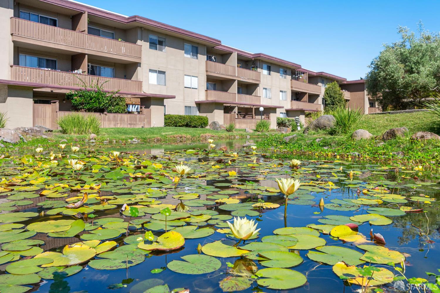 1327 Webster Street, Unit B210 Alameda, CA 94501 - Photo 31 of 54 a view of a bunch of flowers in front of house
