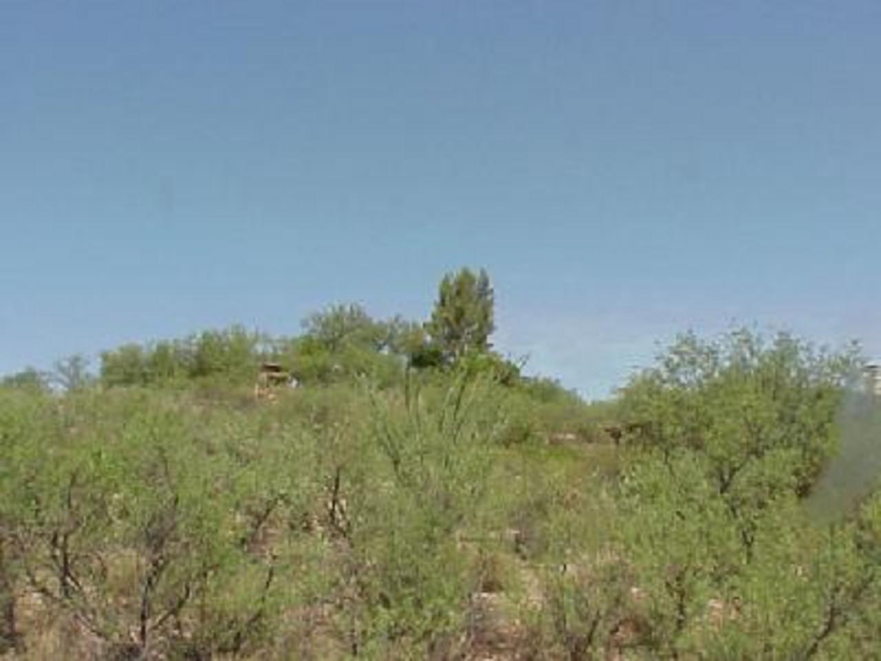 25 Corte Ridge Tubac, AZ 85646 - Photo 4 of 8