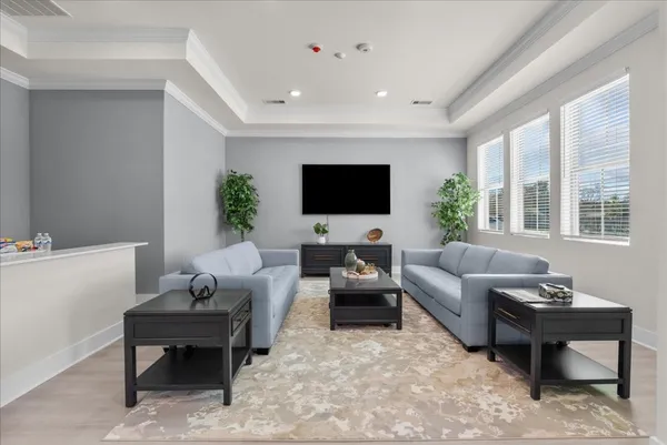 a living room with furniture and a couch