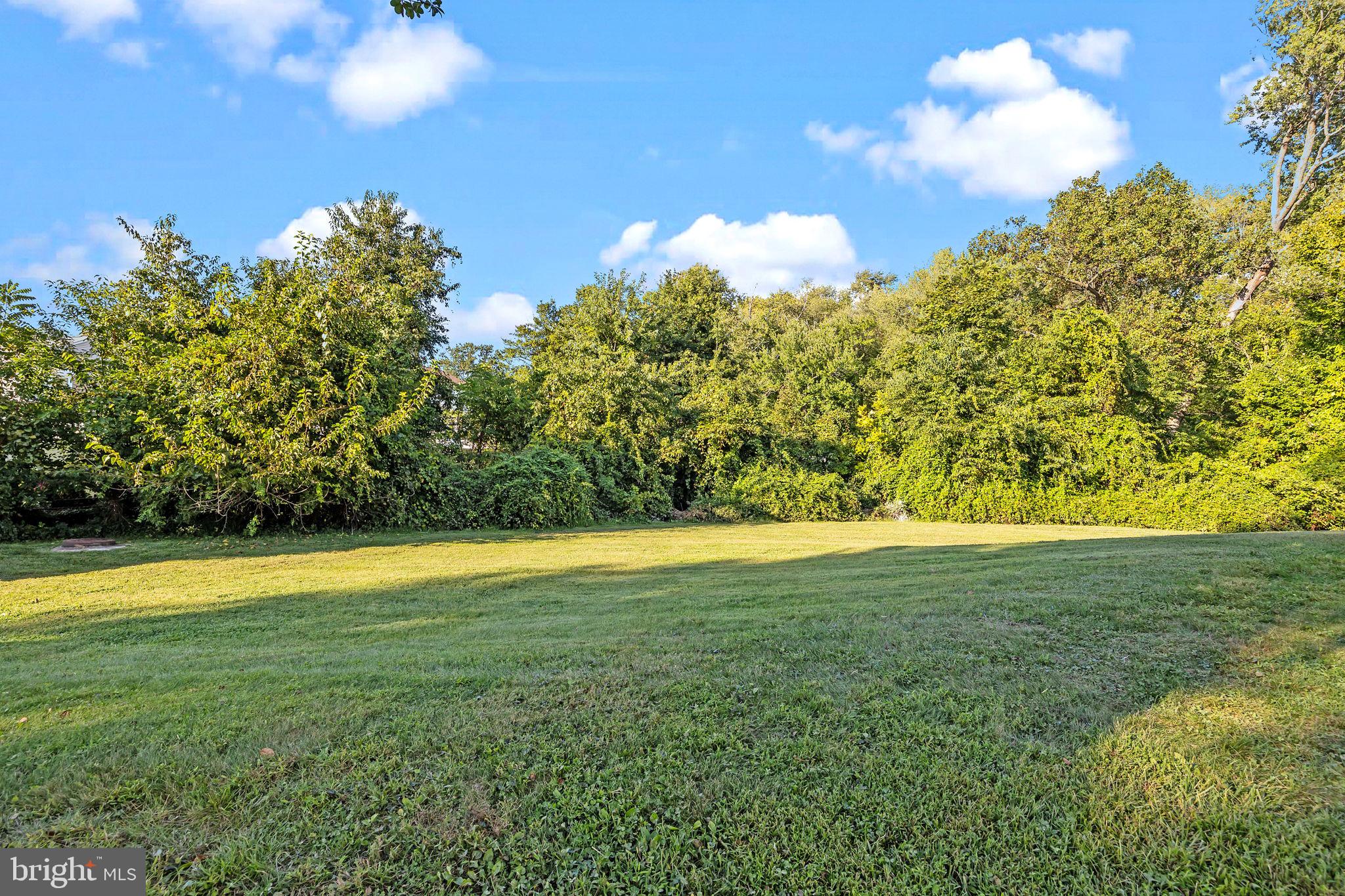 1838 Sheri Road Bensalem, PA 19020 - Photo 33 of 43 a view of a big yard with lots of green space and fog