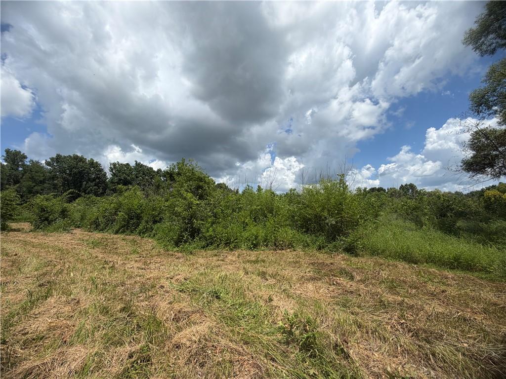 Tbd Campbell Road Knob Noster, MO 65336 - Photo 65 of 88 Gallery Image 65