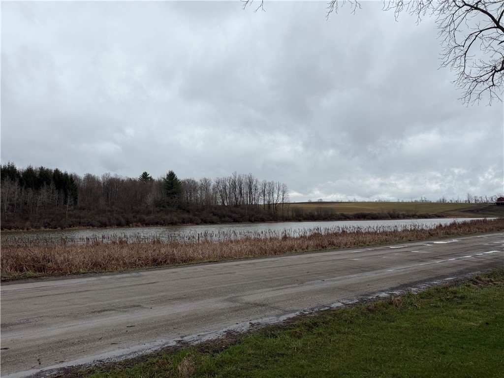 6455 Yost Road Thurston, NY 14820 - Photo 3 of 8