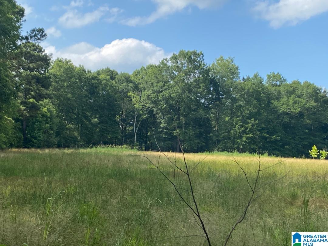 Russell Dairy Road Jasper, AL 35503 - Photo 1 of 3
