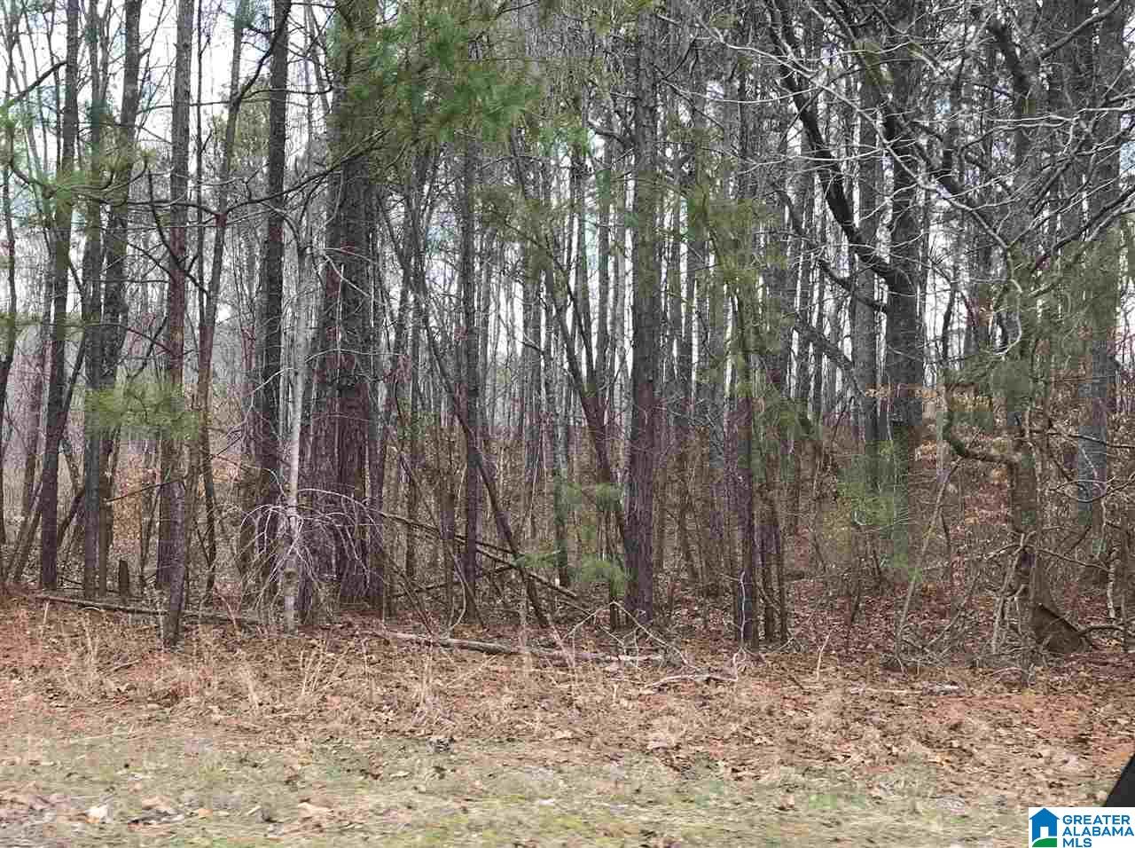 0 Clairmont Springs Road, Unit 54 ACRES Lineville, AL 36266 - Photo 1 of 2