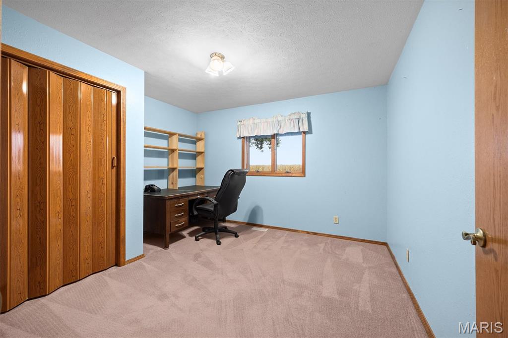 11938 Davis Road Alhambra, IL 62001 - Photo 19 of 46