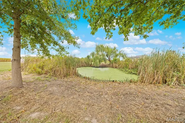 $360,000 | 11938 Davis Road, Alhambra, IL 62001