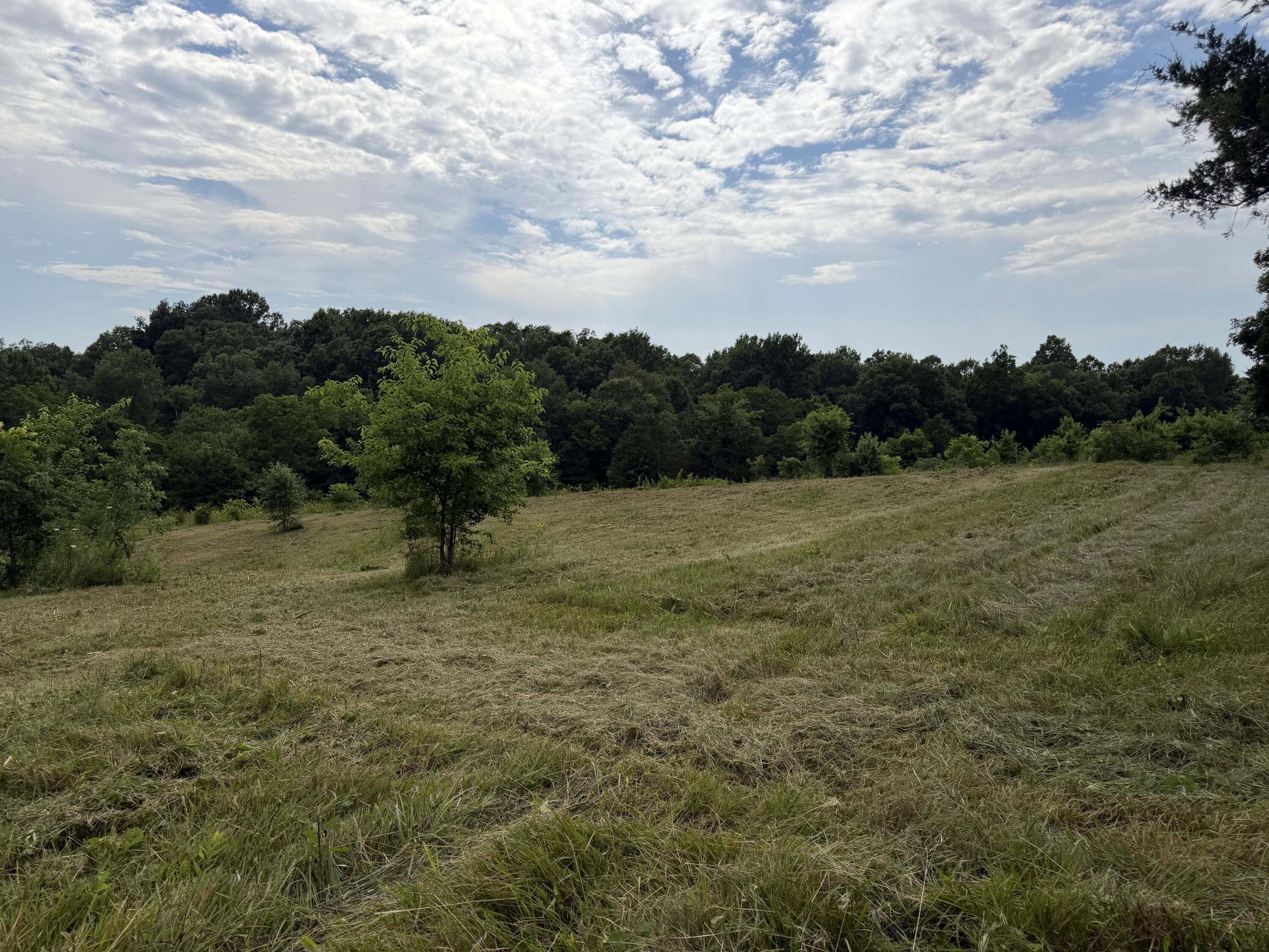 0 Swope Natlee Road Corinth, KY 41010 - Photo 11 of 16 IMG_4935