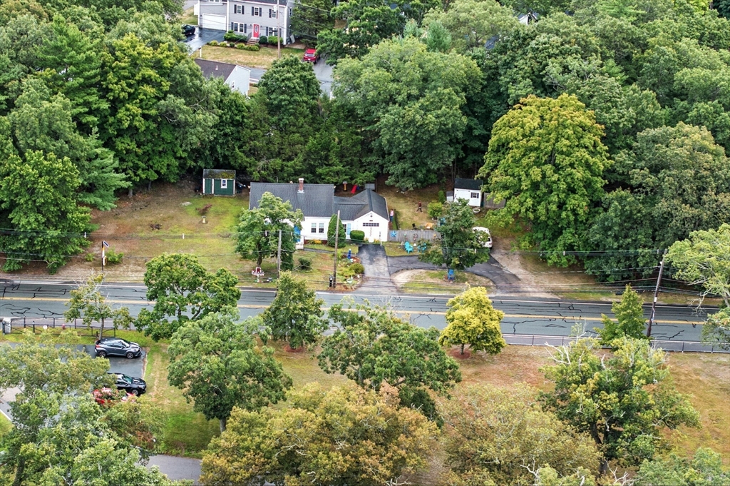 1649 Washington Street Canton, MA 02021 - Photo 36 of 38 a view of yard with green space