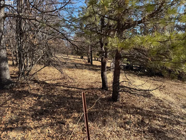 a view of a yard with wooden fence
