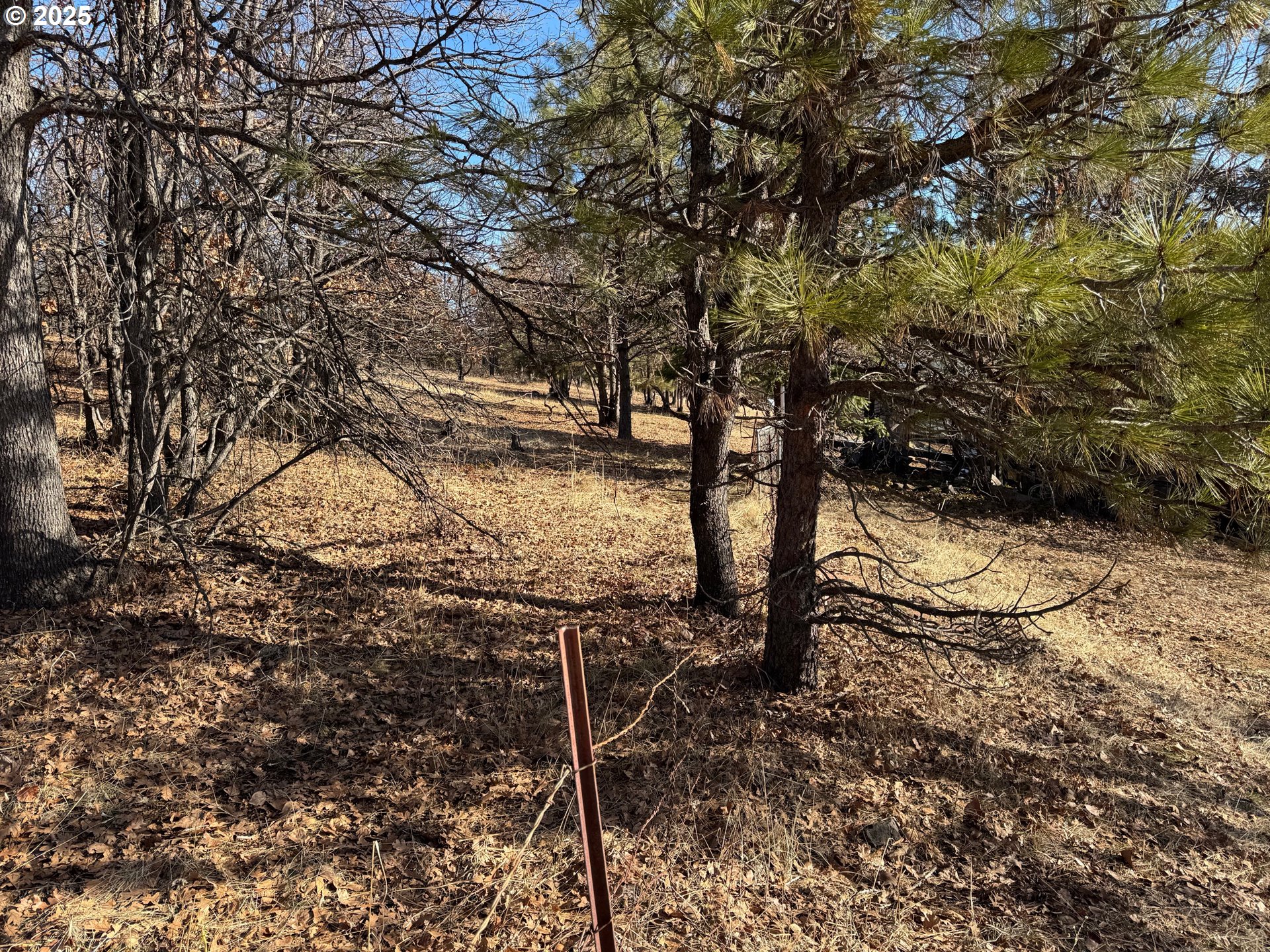 345 Oak Park Drive Wamic, OR 97063 - Photo 11 of 39 a view of a yard with wooden fence