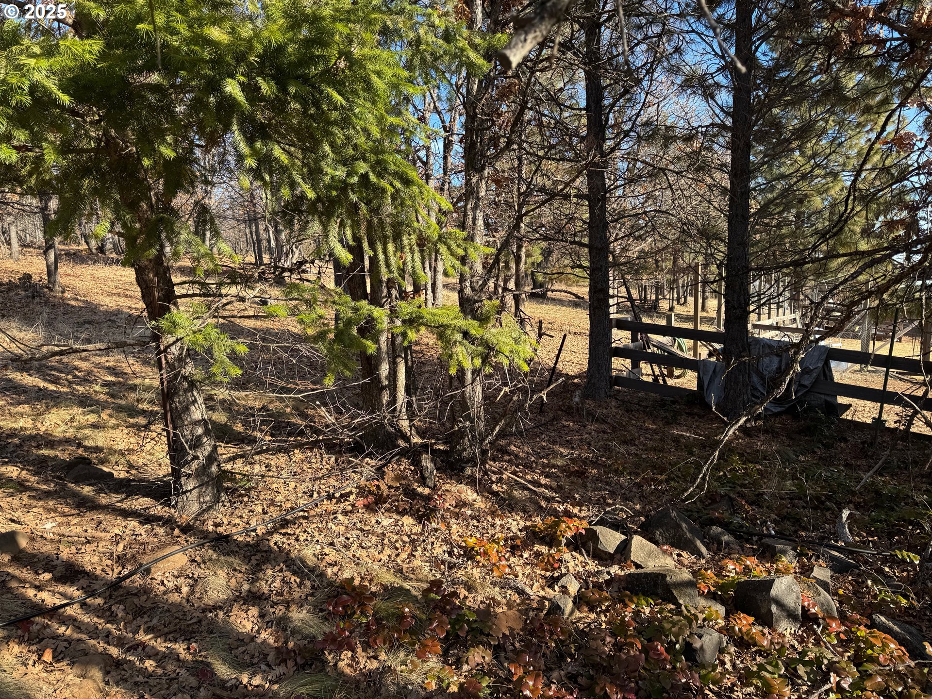 345 Oak Park Drive Wamic, OR 97063 - Photo 12 of 39 a backyard of a house with lots of green space
