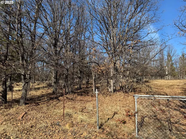 a view of yard covered with snow in outdoor space