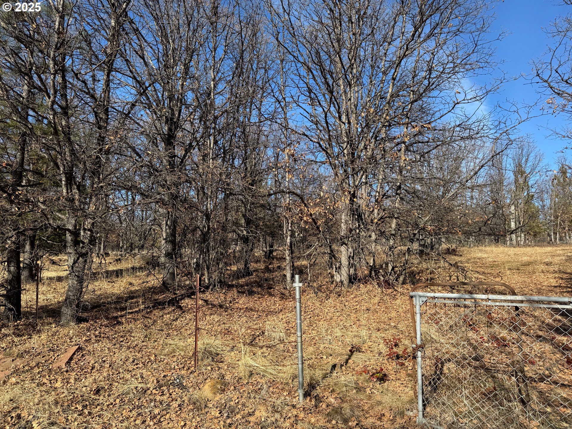 345 Oak Park Drive Wamic, OR 97063 - Photo 14 of 39 a view of yard covered with snow in outdoor space