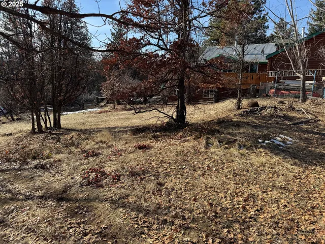a view of a yard with a tree