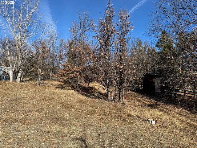 a view of outdoor space and yard