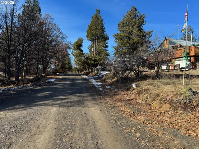 a view of a yard with plants and trees