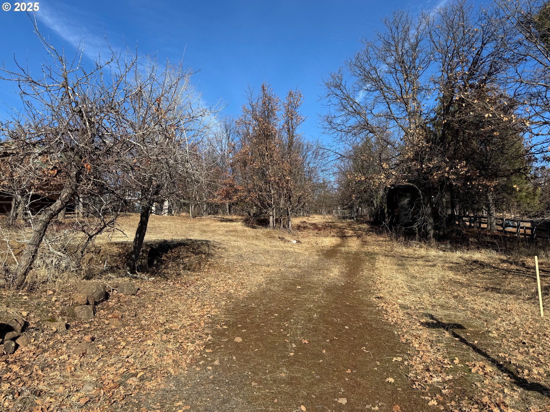 345 Oak Park Drive Wamic, OR 97063 - Photo 2 of 39 a view of road and snow
