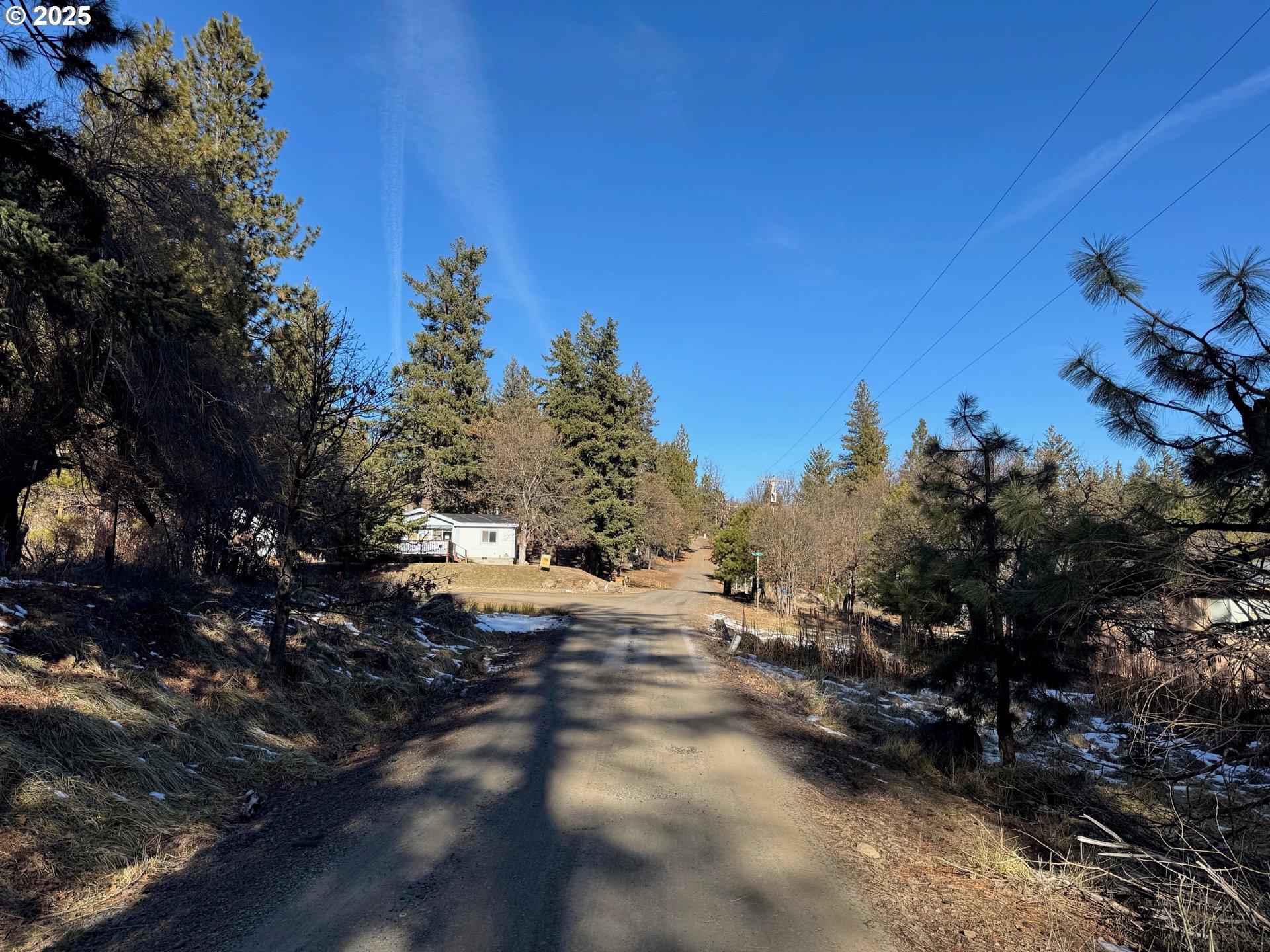 345 Oak Park Drive Wamic, OR 97063 - Photo 22 of 39 a view of a yard with a tree