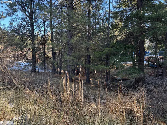 a view of a yard with large trees