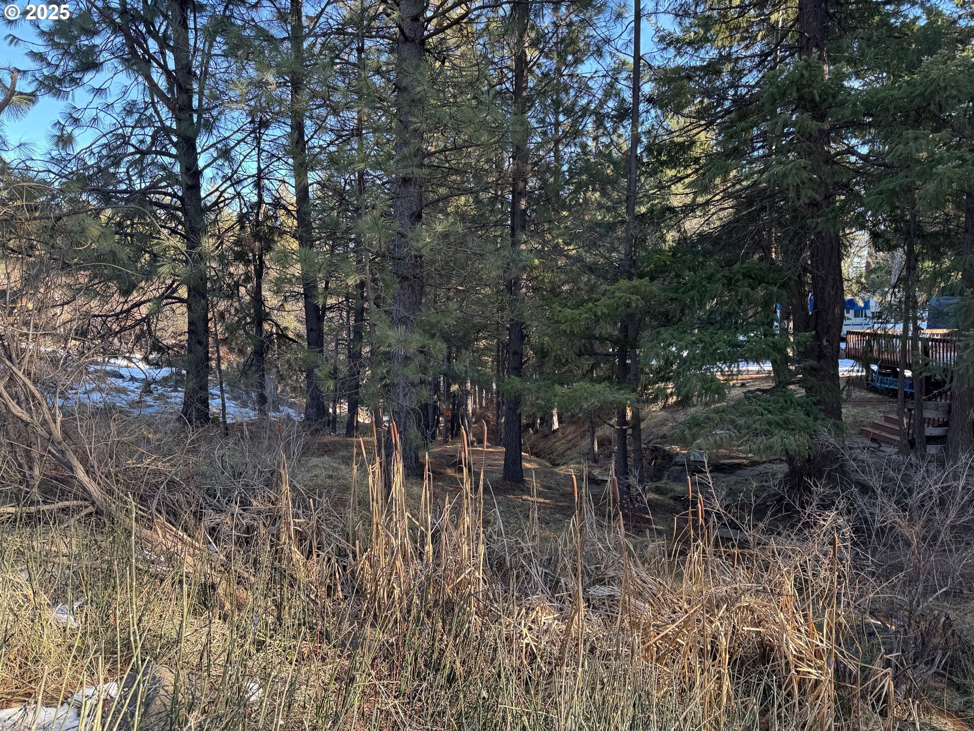 345 Oak Park Drive Wamic, OR 97063 - Photo 23 of 39 a view of a yard with large trees