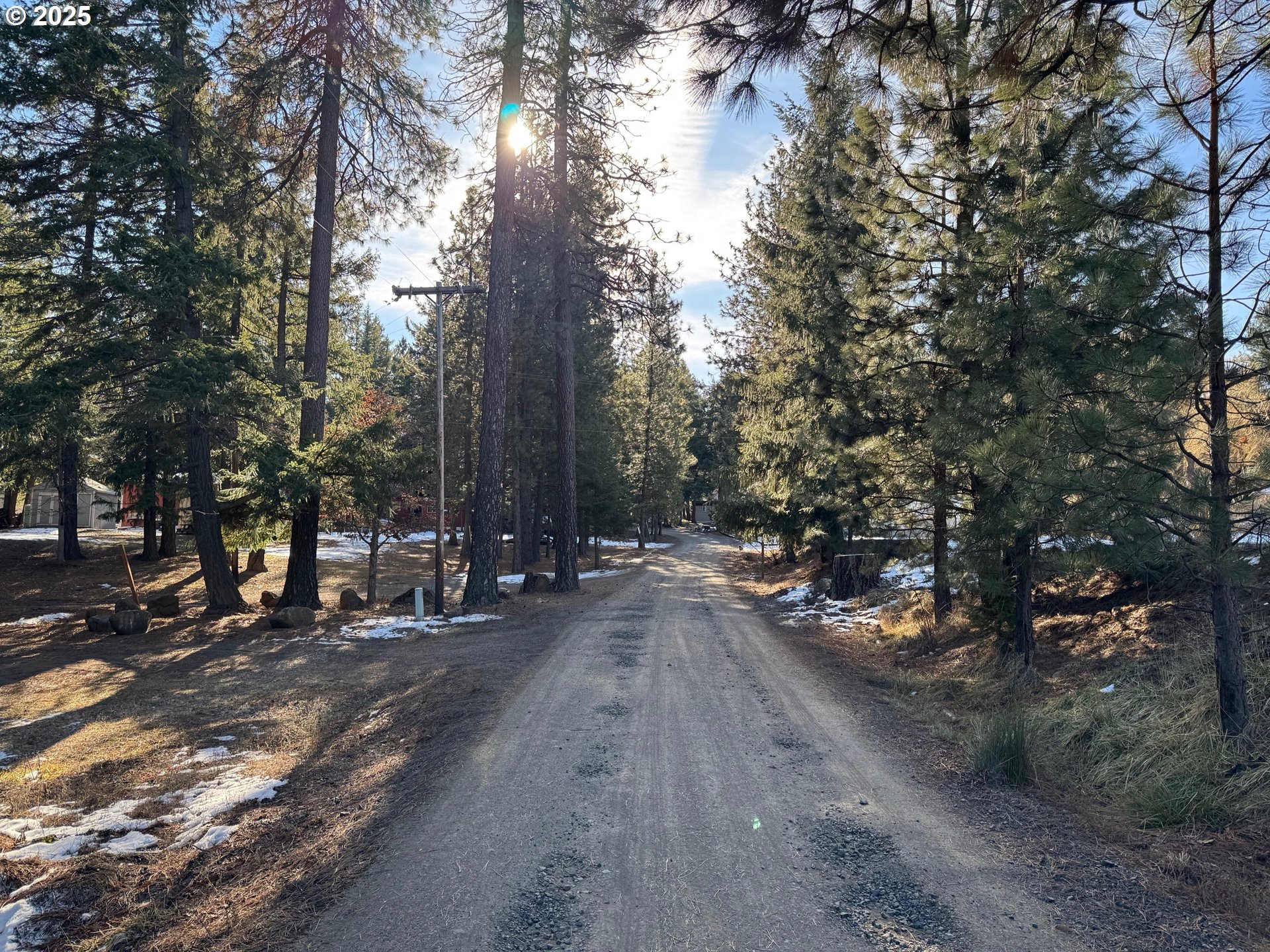 345 Oak Park Drive Wamic, OR 97063 - Photo 24 of 39 a view of a road with trees