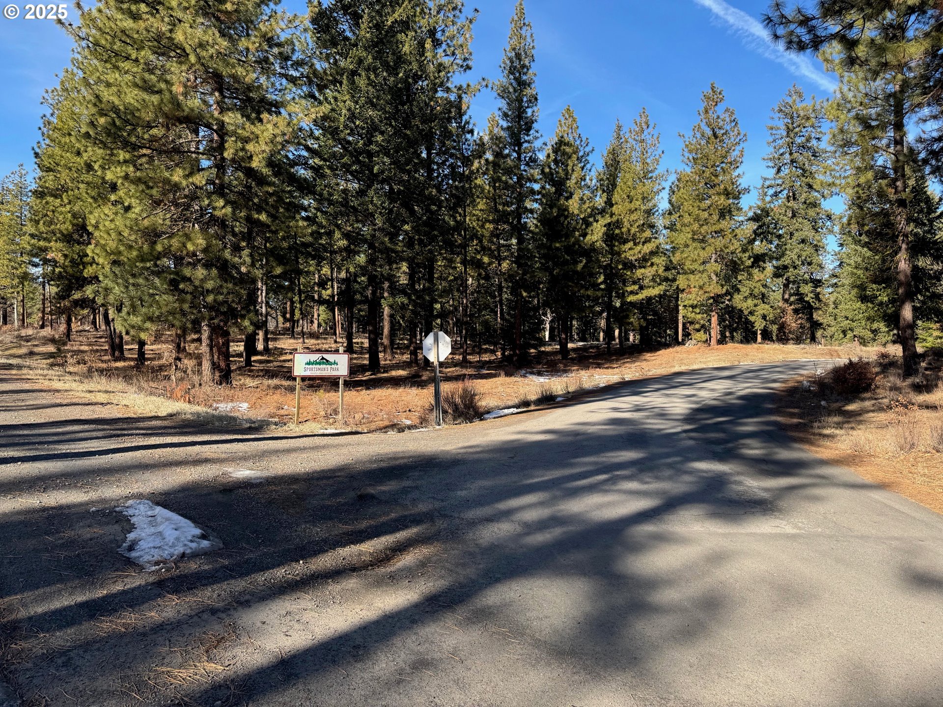 345 Oak Park Drive Wamic, OR 97063 - Photo 29 of 39 a view of road with trees