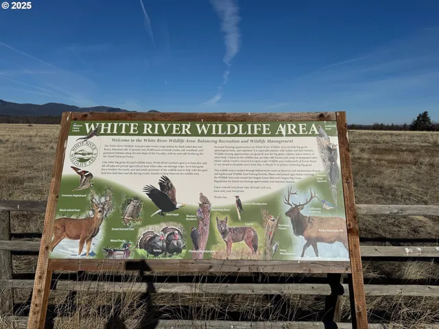 a view of an ocean with a mountain