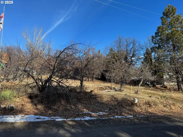 a view of dirt yard with a large tree