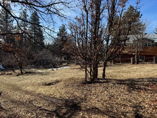 a view of a backyard with large trees