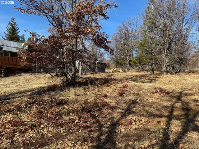 a view of a yard with trees