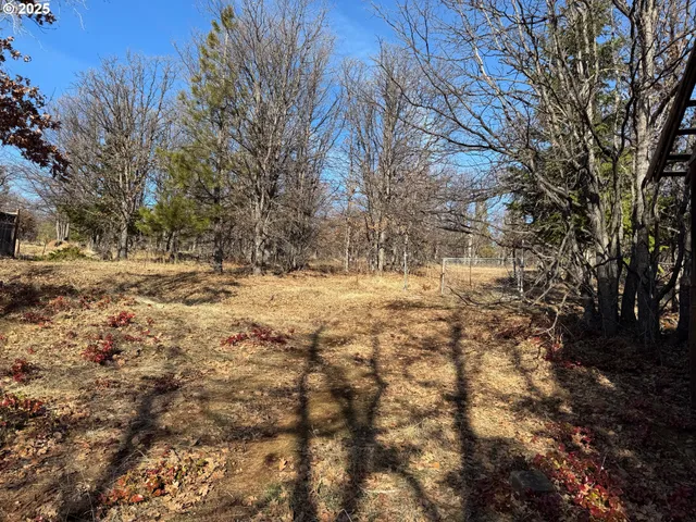 a view of side of a yard with trees