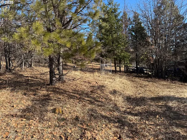 a view of a yard with a tree