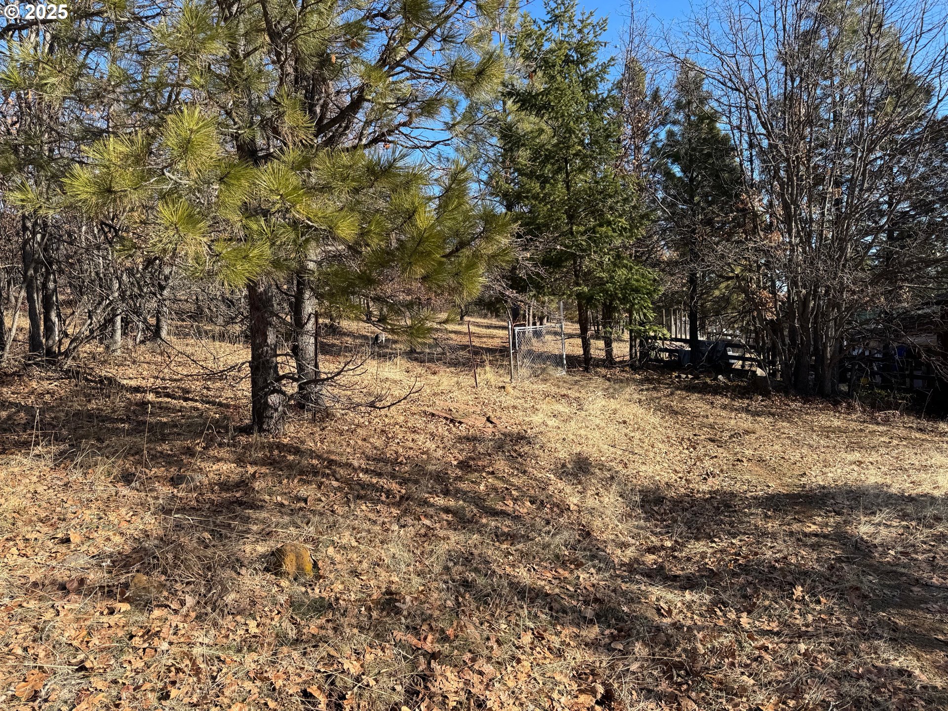 345 Oak Park Drive Wamic, OR 97063 - Photo 10 of 39 a view of a yard with a tree