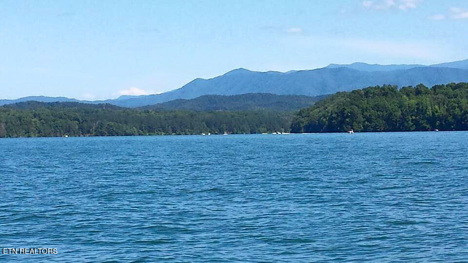 151 Gold Finch Lane Vonore, TN 37885 - Photo 15 of 20 Lake and Mountain Photo