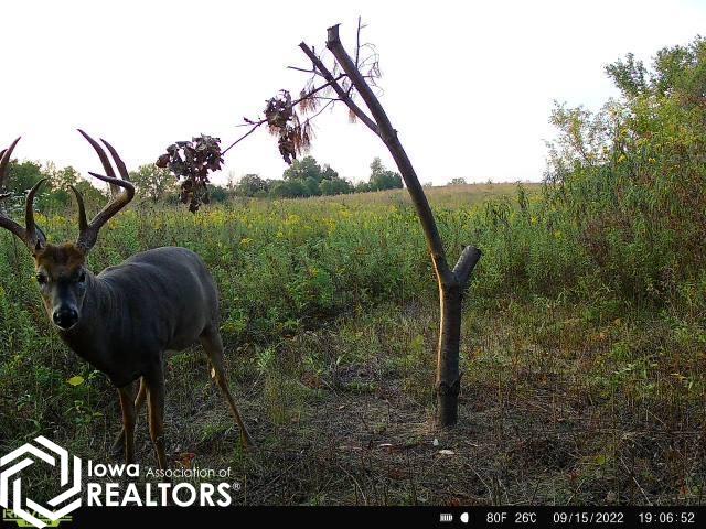 0 194th Avenue Decatur, IA 50067 - Photo 12 of 50 Gallery Image 12