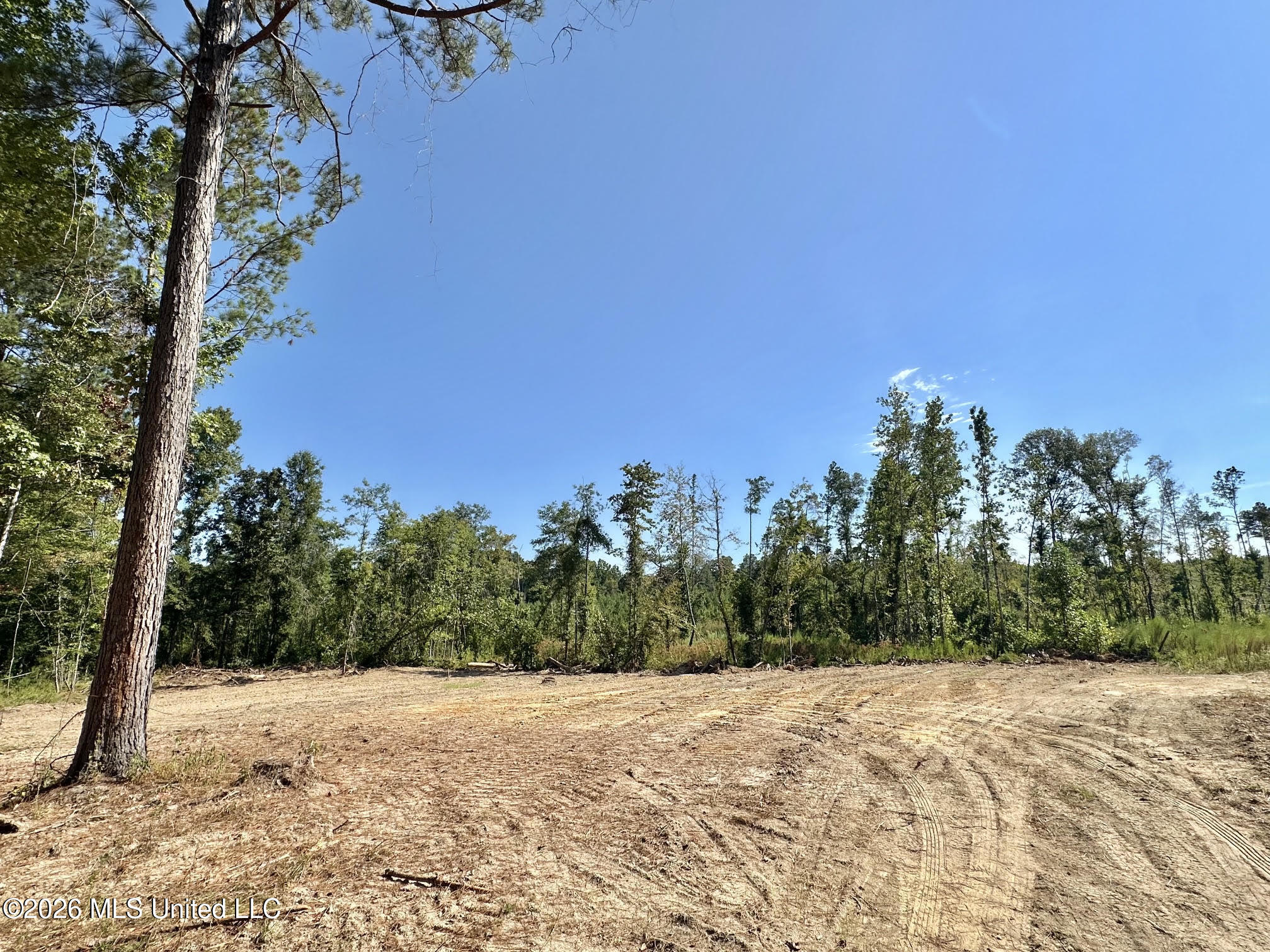 1 Highway 35 Carthage, MS 39051 - Photo 13 of 21 25