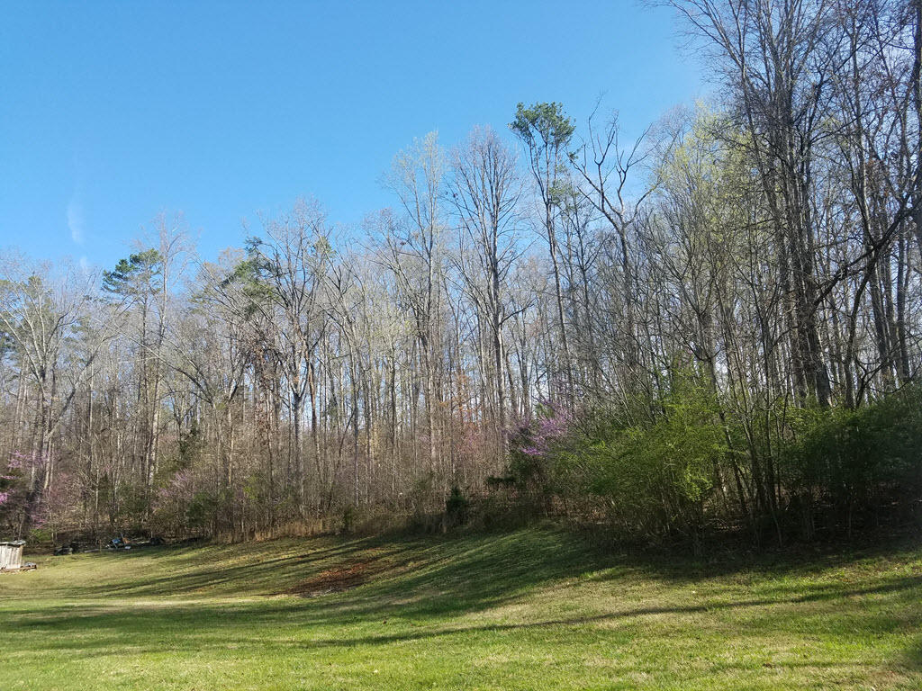 7891 Greenbriar Road Talbott, TN 37877 - Photo 22 of 36 22
