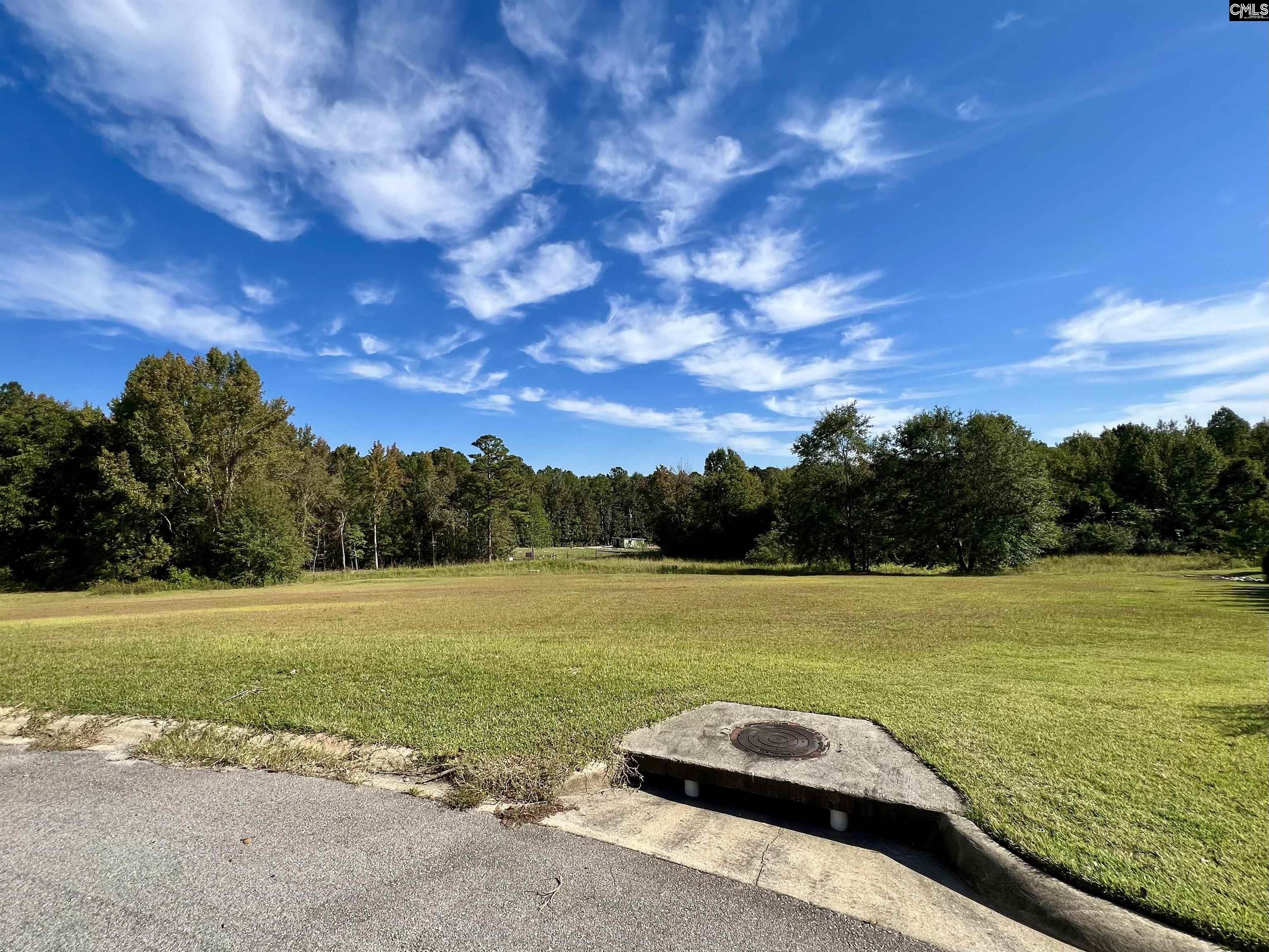 127 Deer Ridge Trail Gilbert, SC 29054 - Photo 1 of 13