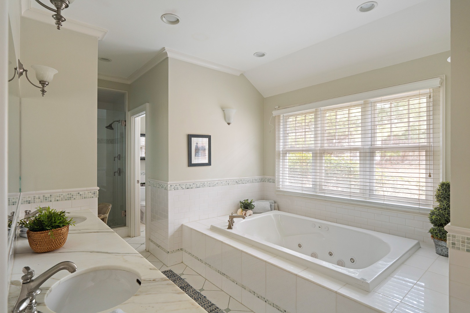 385 Barnes Road Oak Bluffs, MA 02557 - Photo 30 of 60 a bathroom with a tub a potted plant and a sink