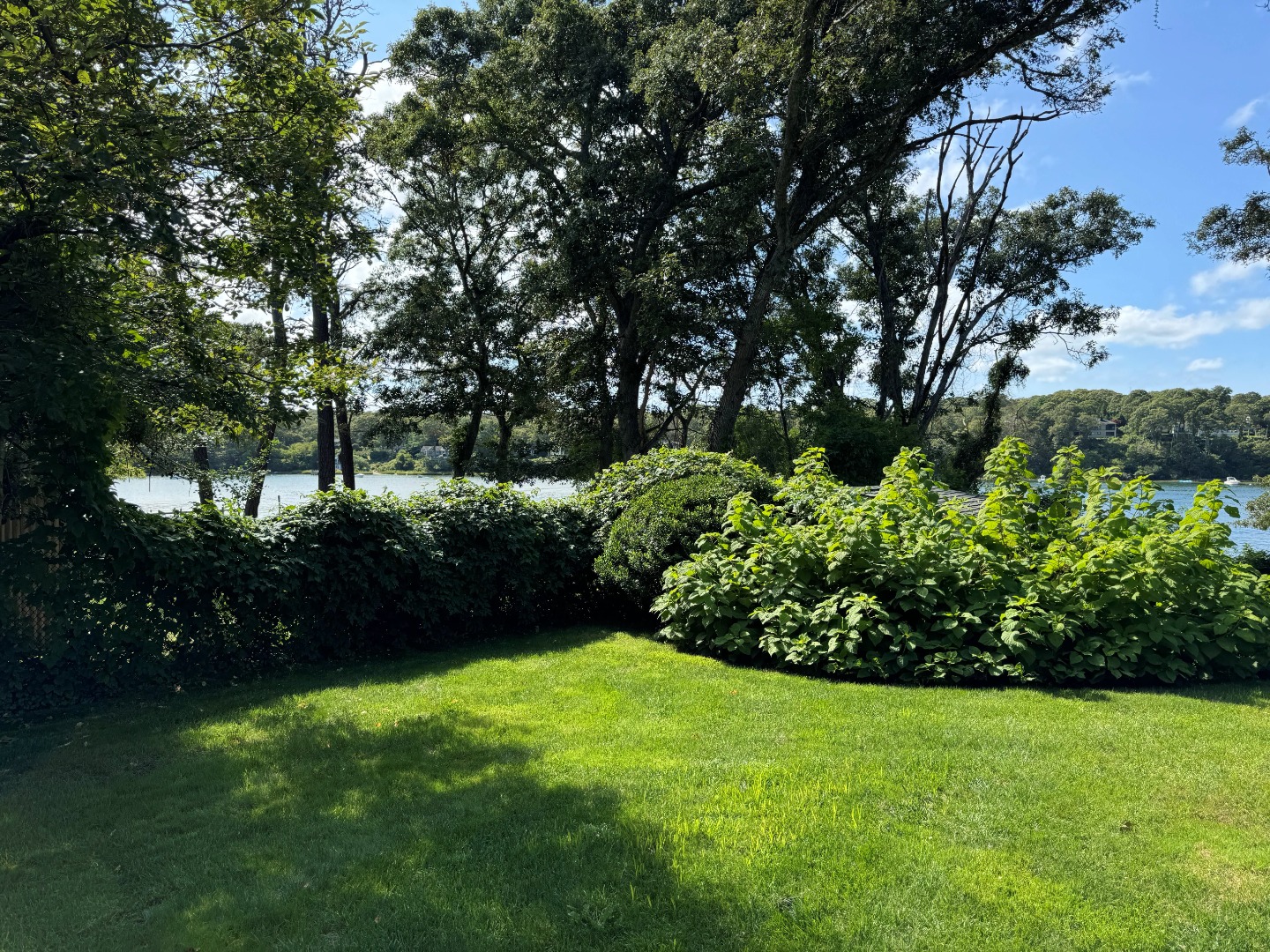 385 Barnes Road Oak Bluffs, MA 02557 - Photo 3 of 60 a view of a garden