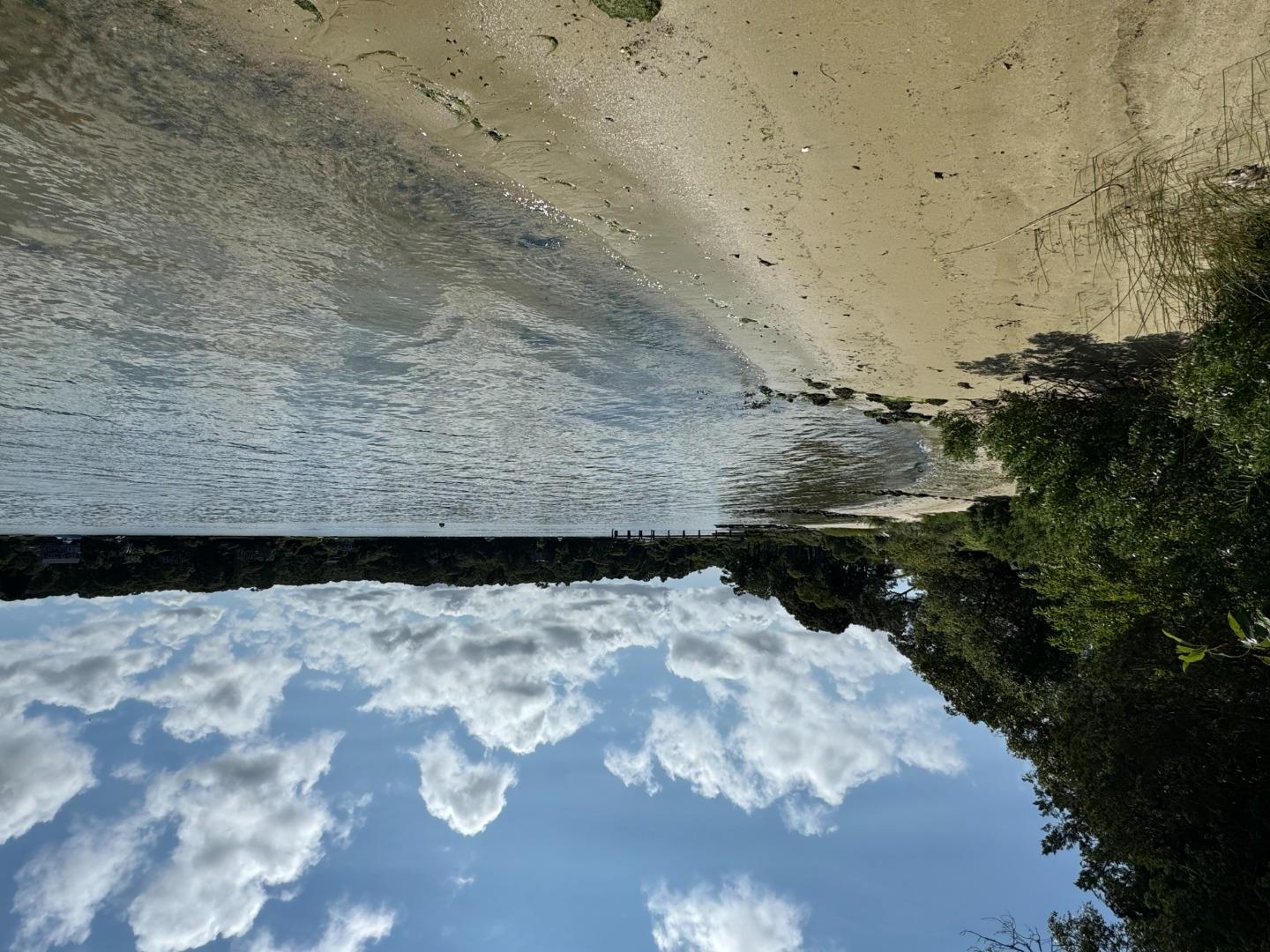 385 Barnes Road Oak Bluffs, MA 02557 - Photo 4 of 60 a view of a lake view