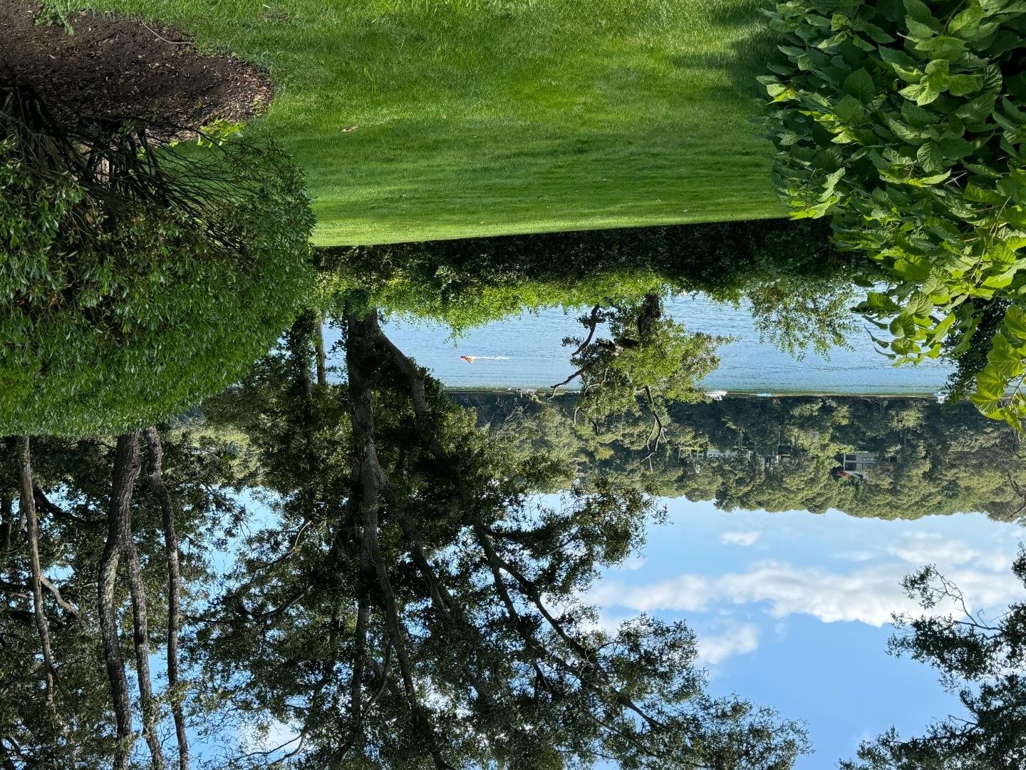 385 Barnes Road Oak Bluffs, MA 02557 - Photo 54 of 60 a view of a garden with a lake view