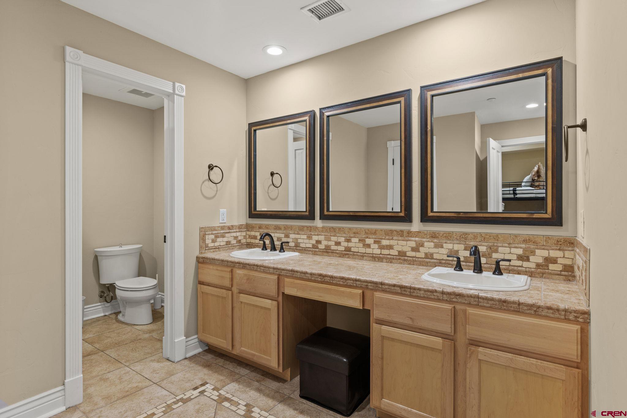 543 East 2nd Avenue, Unit 3E Durango, CO 81301 - Photo 30 of 39 a bathroom with a toilet sink and mirror