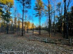 87 Old Stonewall Road New Baltimore, NY 12087 - Photo 2 of 6 a view of a backyard