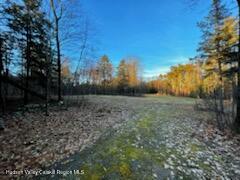 87 Old Stonewall Road New Baltimore, NY 12087 - Photo 3 of 6 a view of a backyard of the house