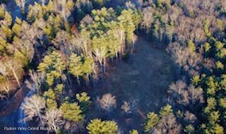 87 Old Stonewall Road New Baltimore, NY 12087 - Photo 5 of 6