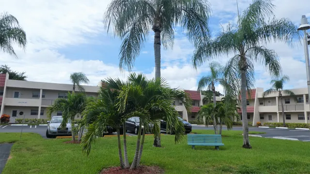 a view of a yard with a palm trees